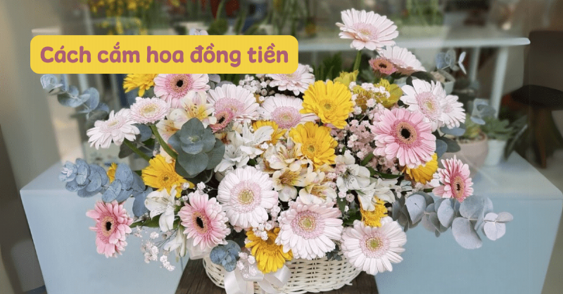 Mot binh hoa co dong tien cam don gian trong lo thuy tinh trong nha, mang lai su vui tuoi